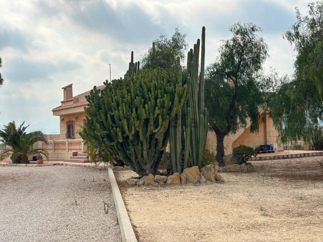 Casa Rural en alquiler en Pisnella, l'Alacantí