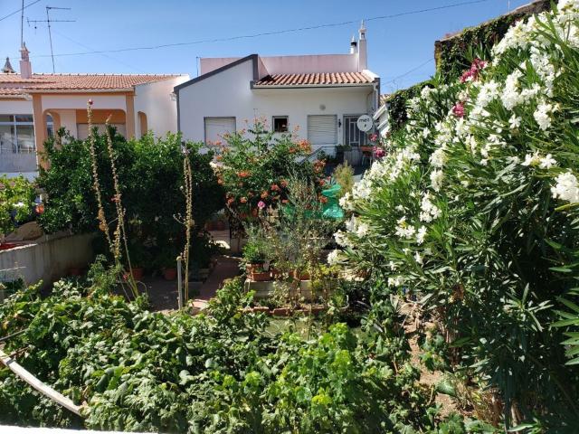 Quinta venda em Tavira, Faro