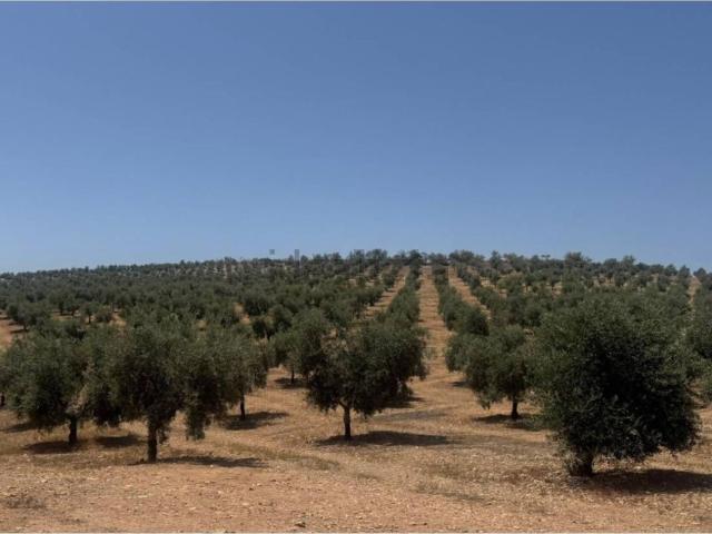 Casa Rural en venta en Comarca de Alhama, Andalucía