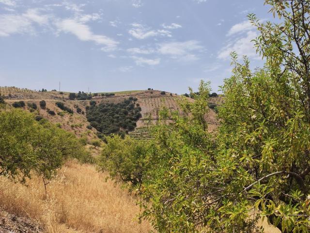 Casa Rural en venta en Comarca de la Alpujarra Granadina, Andalucía