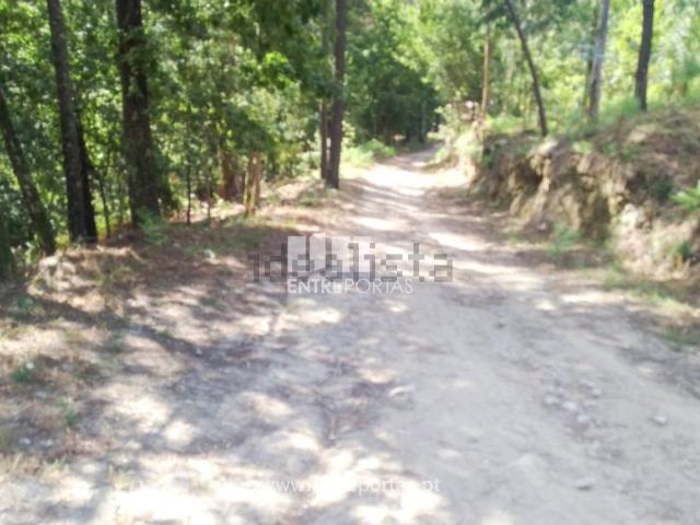 Quinta venda em Amares, Braga