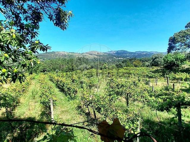 Quinta venda em Amares, Braga