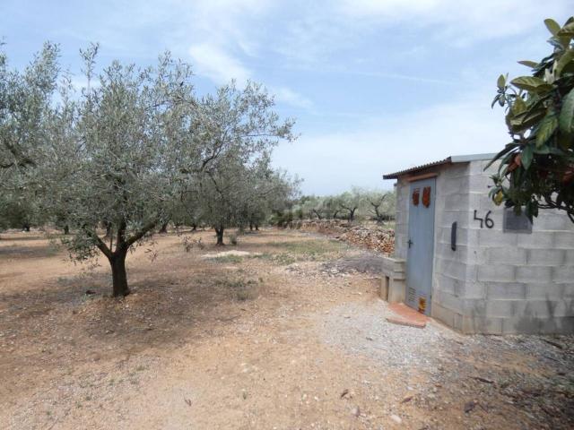 Casa Rural en venta en el Baix Maestrat, Valencia