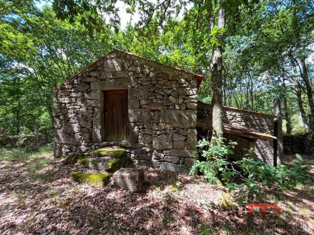 Quinta venda em Cambra, Viseu