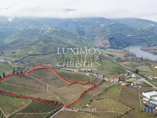 Quinta venda em Cambres, Lamego