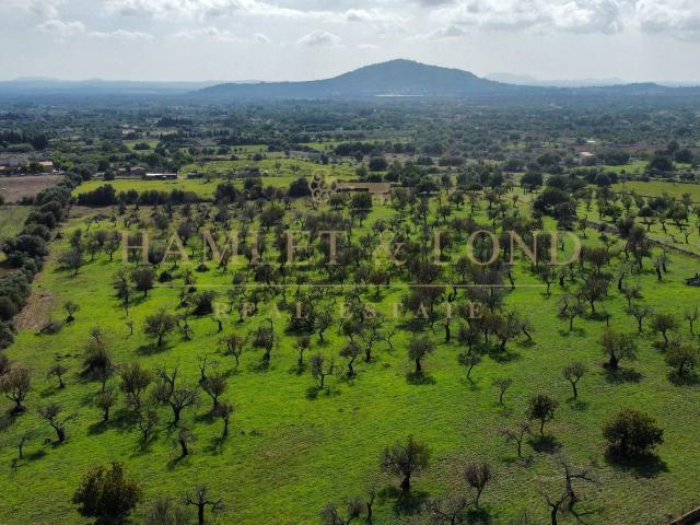 Casa Rural en venta en Raiguer, Baleares