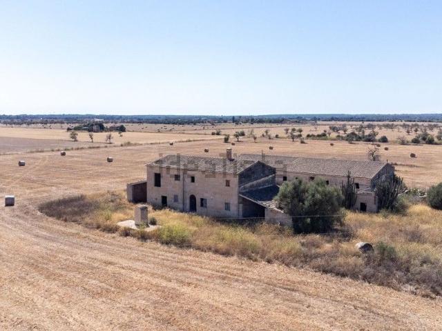 Casa Rural en venta en Migjorn, Baleares