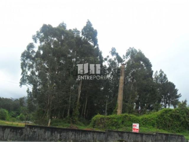 Quinta venda em Campos e Vila Meã, Vila Nova de Cerveira