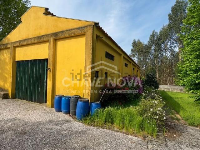 Quinta venda em Santa Maria Da Feira, Aveiro