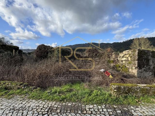 Quinta venda em Celorico De Basto, Braga