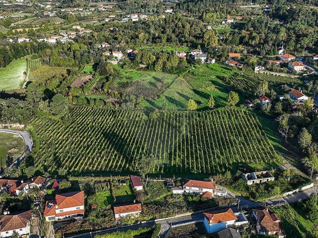 Quinta venda em Celorico De Basto, Braga