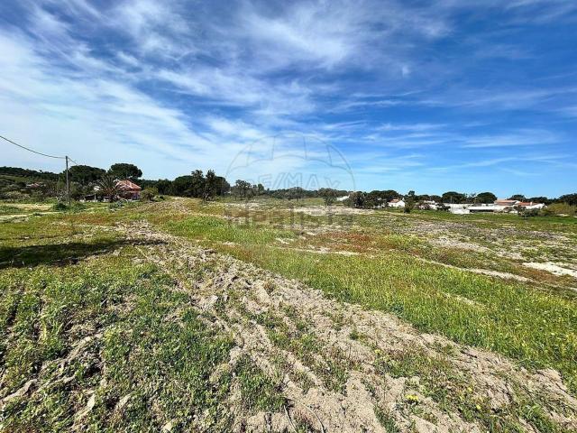 Quinta venda em Latadas, Montijo