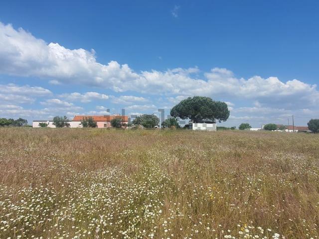 Quinta venda em Foros do Carrapatal, Montijo