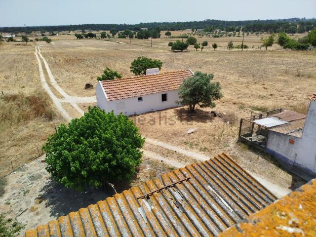 Quinta venda em Foros do Carrapatal, Montijo