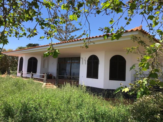 Quinta venda em Figueirinhas, Santa Cruz