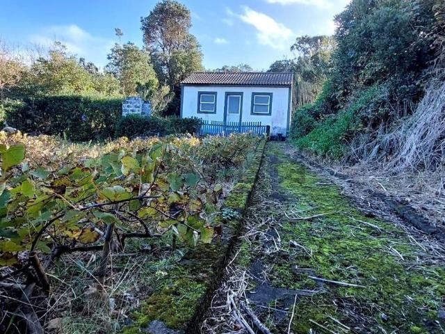 Quinta venda em Açores
