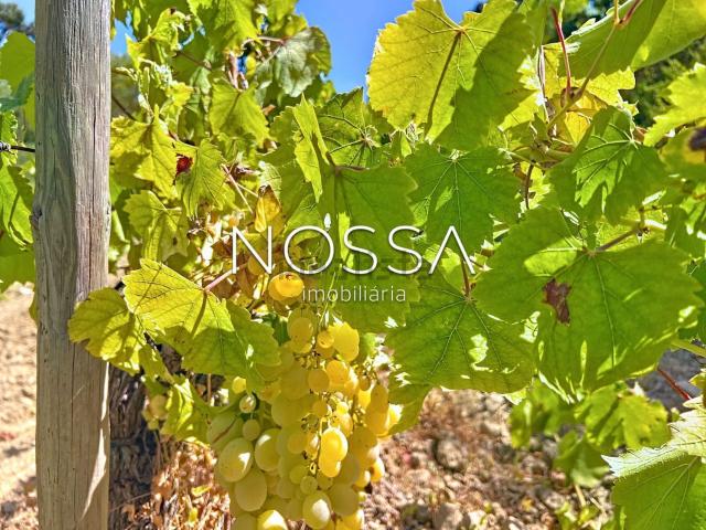 Quinta venda em Arruda Dos Vinhos, Lisboa