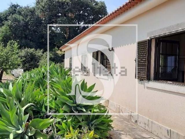 Quinta venda em Alenquer, Lisboa