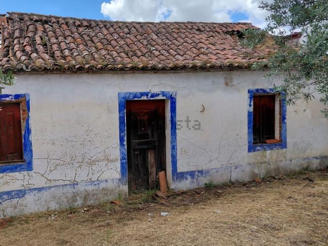Quinta venda em Chamusca, Santarém