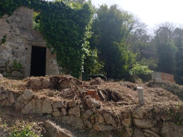 Quinta venda em Santo Tirso, Porto