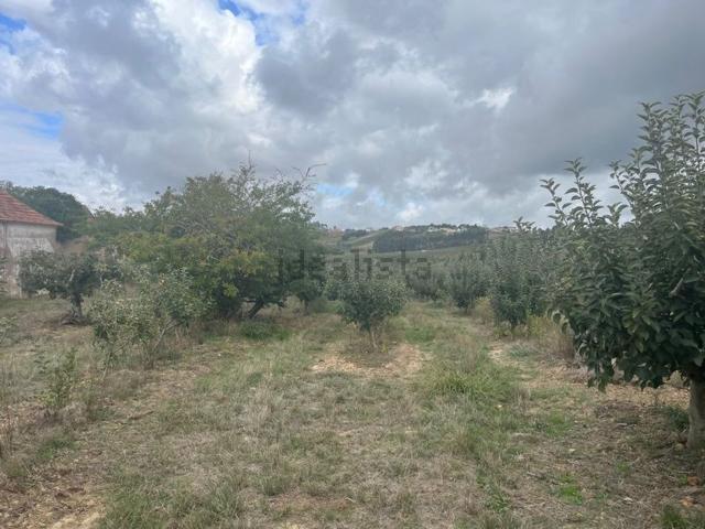 Quinta venda em Carvalhal, Bombarral