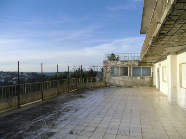 Quinta venda em Abrantes, Santarém