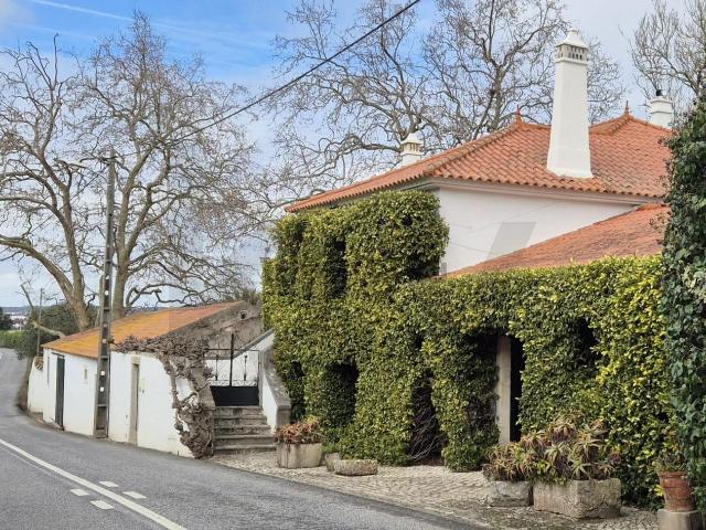 Quinta venda em Carrasqueira, Torres Vedras
