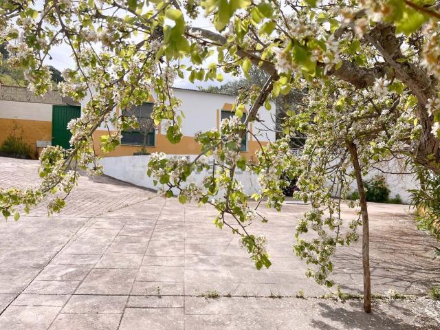 Casa Rural en venta en Antequera, Andalucía