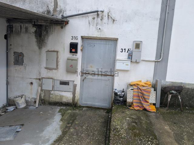 Quinta venda em Tomar, Santarém