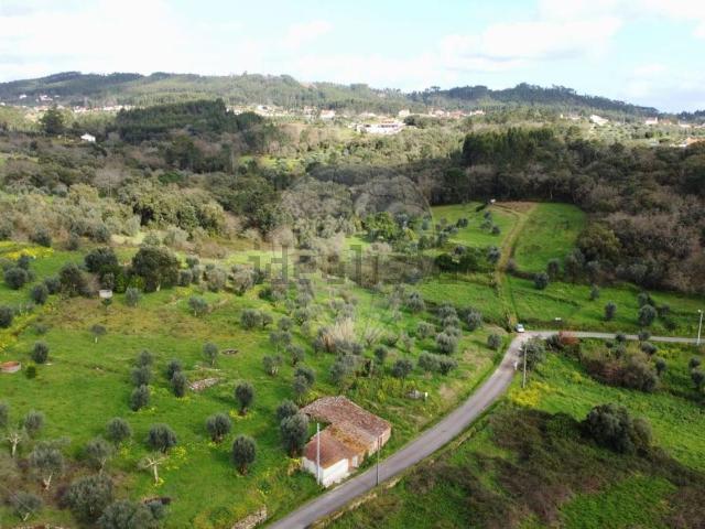 Quinta venda em Tomar, Santarém