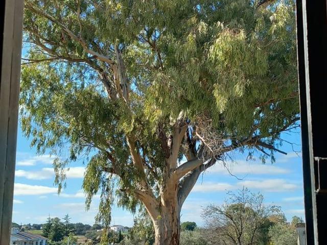 Casa Rural en venta en Viñas de la Mata, Casar De Cáceres