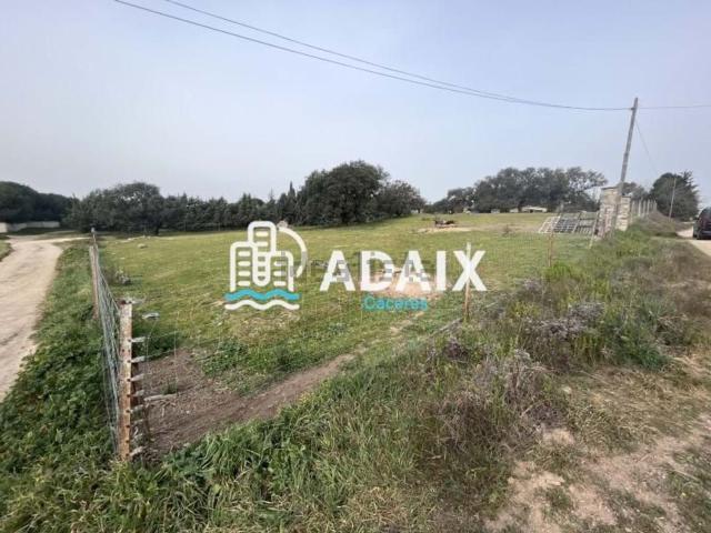 Quinta en venta en Casar De Cáceres
