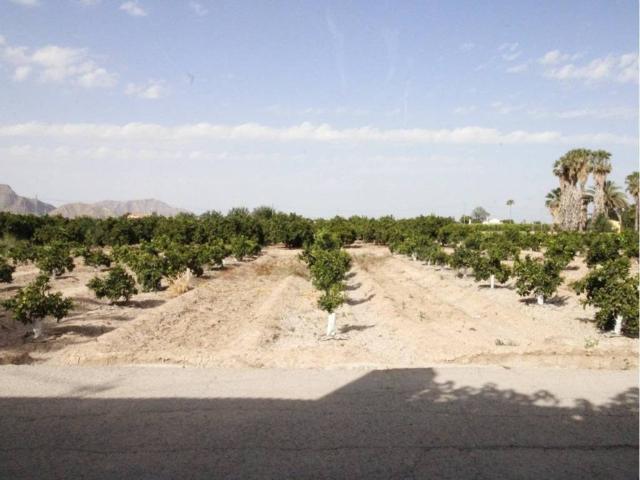 Casa Rural en alquiler en Área Metropolitana de Murcia, Murcia