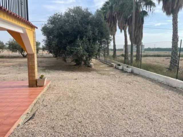 Casa Rural en alquiler en Dolores, Alacant / Alicante