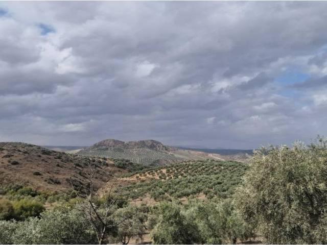 Casa Rural en venta en Antequera, Andalucía