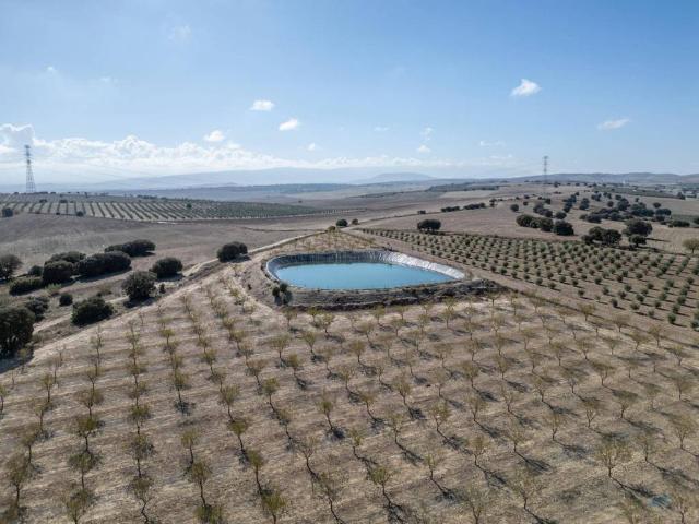 Quinta en venta en Alamedilla Quinta en venta en Alamedilla