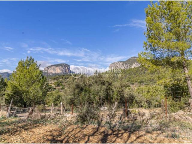 Terreno en venta en Alaró Terreno en venta en Alaró