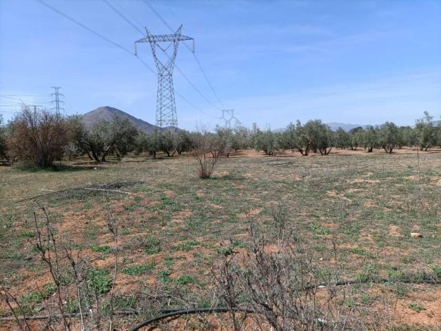 Casa Rural en venta en Albolote