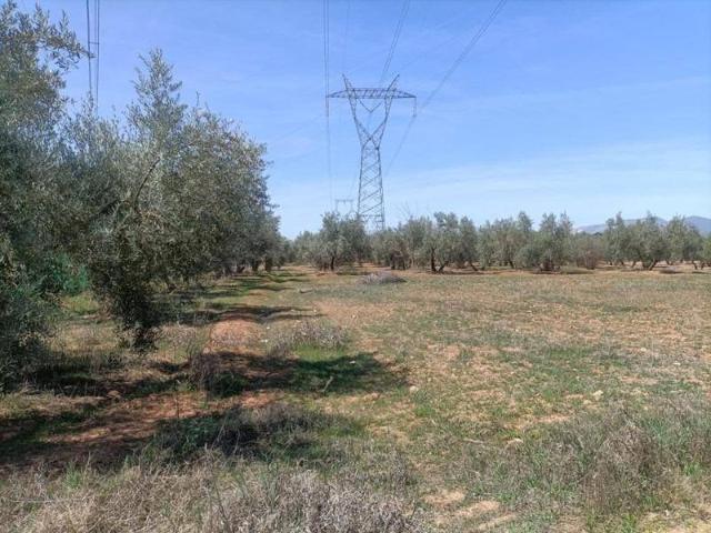 Casa Rural en venta en Comarca de la Vega de Granada, Andalucía