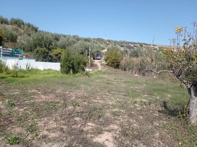 Casa Rural en venta en Alcaudete, Andalucía
