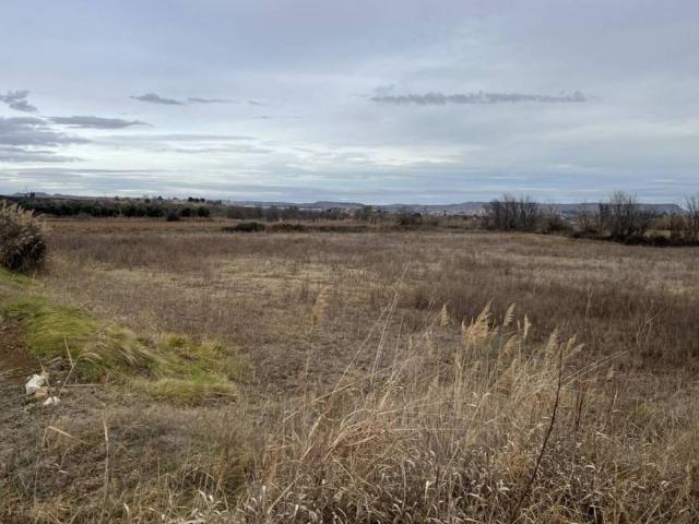 Terreno en venta en Alcañiz