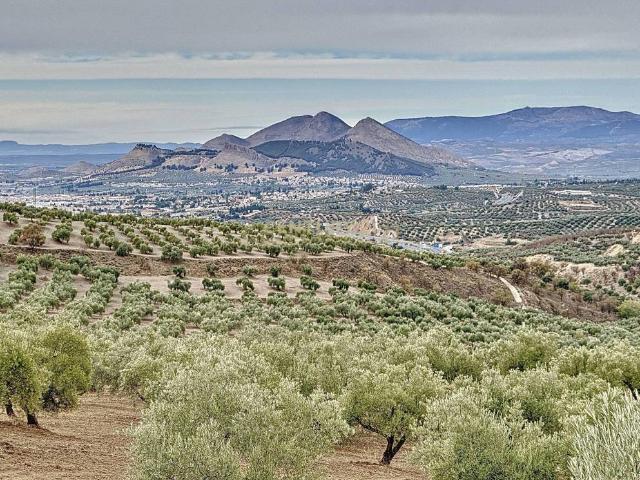 Casa Rural en venta en Alfacar