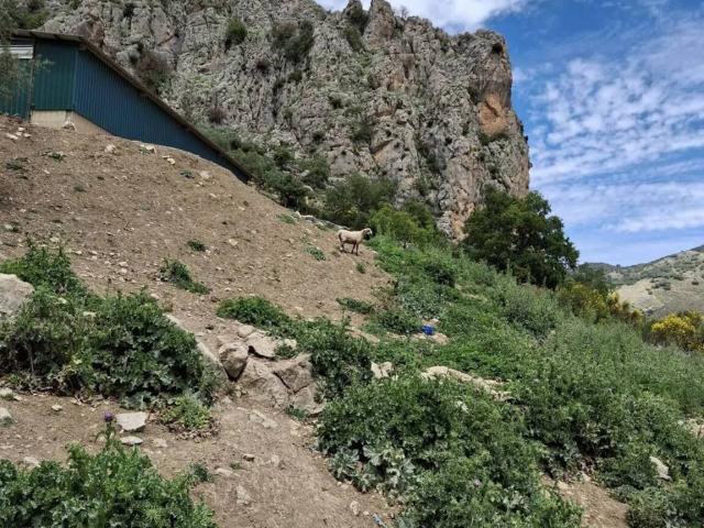Casa Rural en venta en La Axarquía, Andalucía