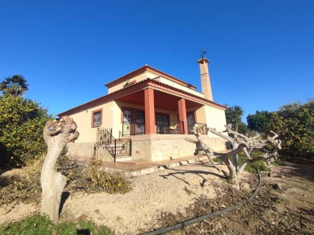 Quinta en venta en Algorfa