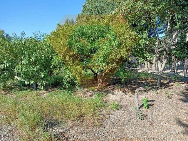 Casa Rural en venta en Vega Media del Segura, Murcia