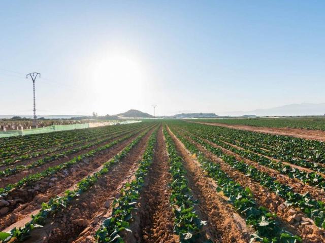 Casa Rural en venta en Bajo Guadalentín, Murcia