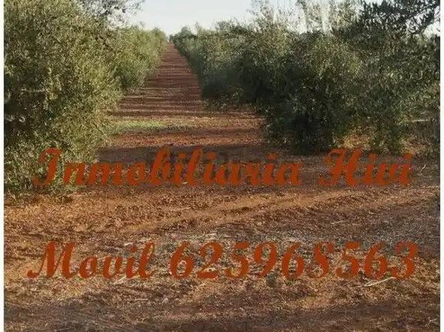 Casa Rural en venta en Tierra de Barros, Extremadura