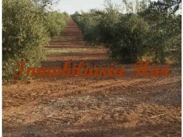 Casa Rural en venta en Tierra de Barros, Extremadura