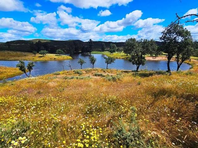 Casa Rural en venta en Almonaster La Real