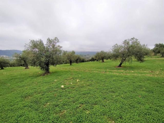 Casa Rural en venta en Sierra de las Nieves, Andalucía